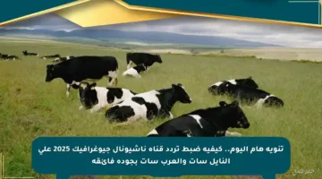 تنويه هام اليوم.. كيفية ضبط تردد قناة ناشيونال جيوغرافيك 2025 على النايل سات والعرب سات بجودة فائقة